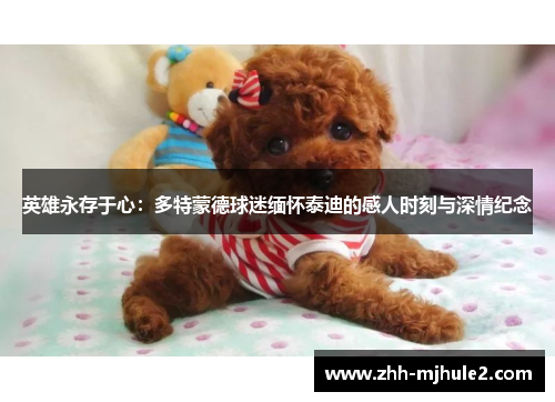 英雄永存于心:多特蒙德球迷缅怀泰迪的感人时刻与深情纪念 英雄永存于心:多特蒙德球迷缅怀泰迪的感人时刻与深情纪念