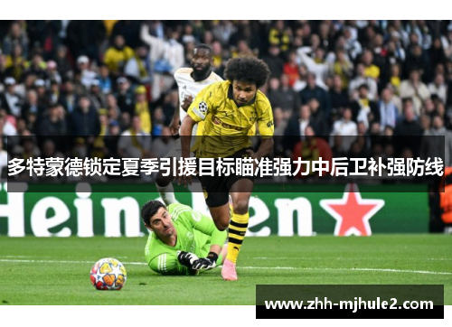 多特蒙德锁定夏季引援目标瞄准强力中后卫补强防线