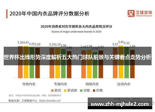 世界杯出线形势深度解析五大热门球队前景与关键看点走势分析 世界杯出线形势深度解析五大热门球队前景与关键看点走势分析
